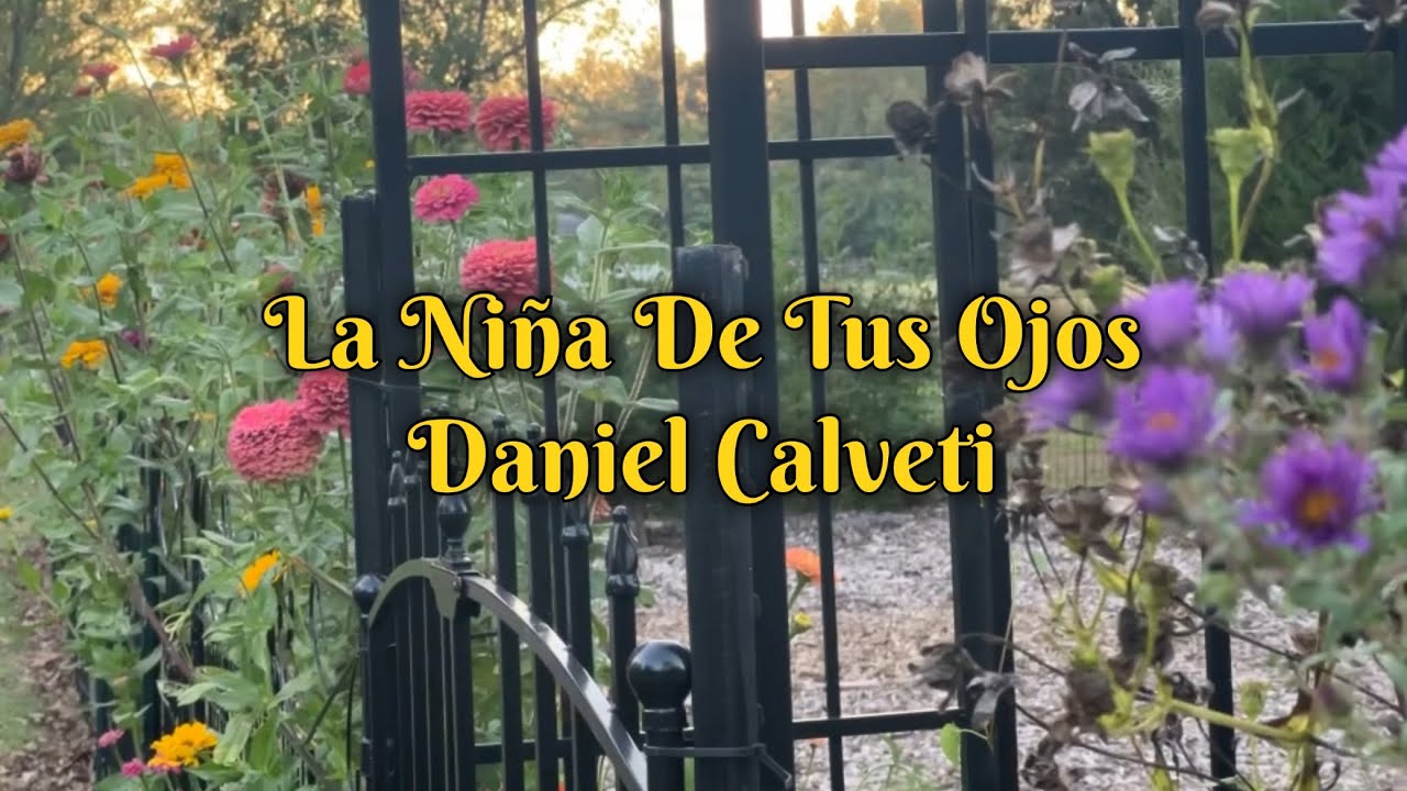 La Niña De Tus Ojos - Daniel Calveti