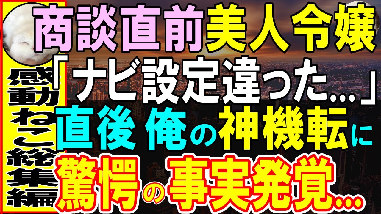 【感動する話】過去を隠し美人令嬢の部下をする俺。令嬢のミスで商談に遅刻寸前の大ピンチ。「クビだ」専務激怒でがくがく震える令嬢を俺が全力でサポートすると…ある事実判明し…【いい話・泣ける話・朗読】