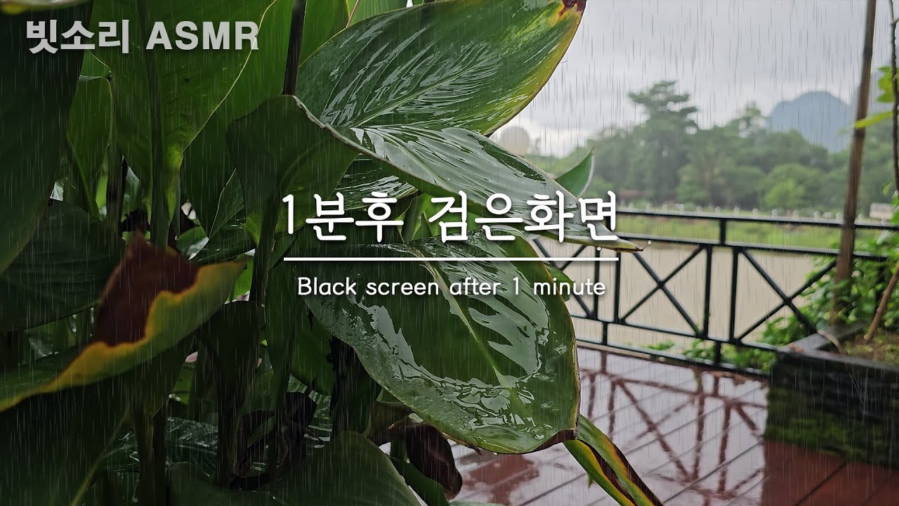 불면증 완화를 위한 강변카페 정원에서 듣는 부드러운 빗소리 ASMR - 1분후 검은화면, 블랙스크린