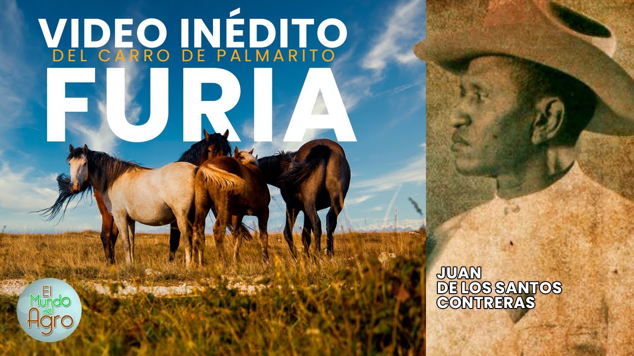 El Carrao de Palmarito  - FURIA - 🐴  Videoclip  inédito (2024)