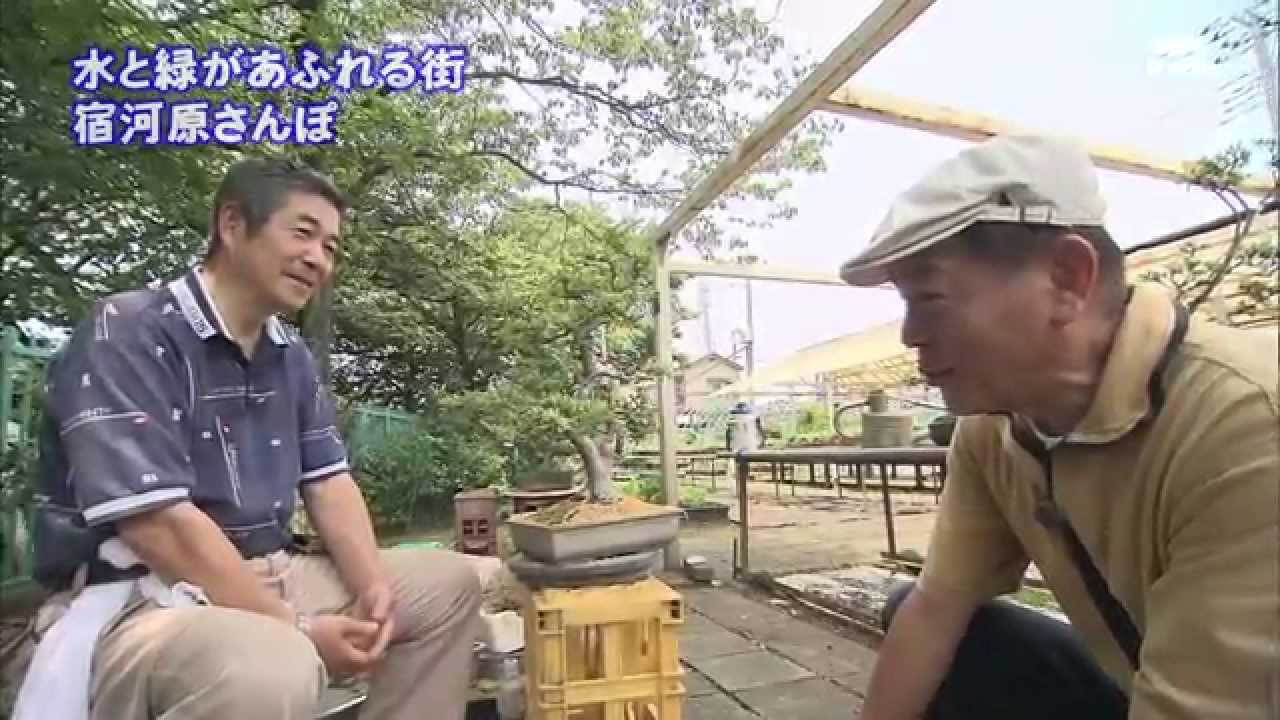 2011年8月8日 ちい散歩 宿河原