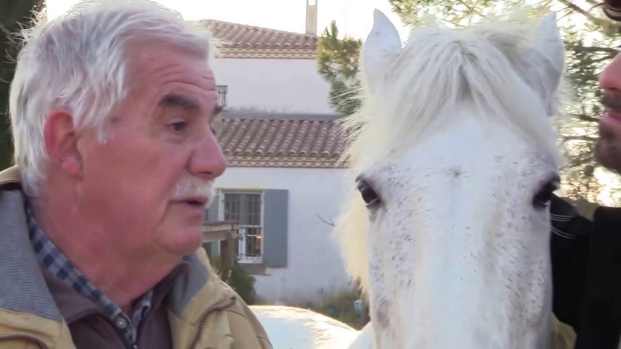 Rencontre avec Jacques Blati&egrave;re, manadier, &eacute;leveur de taureaux
