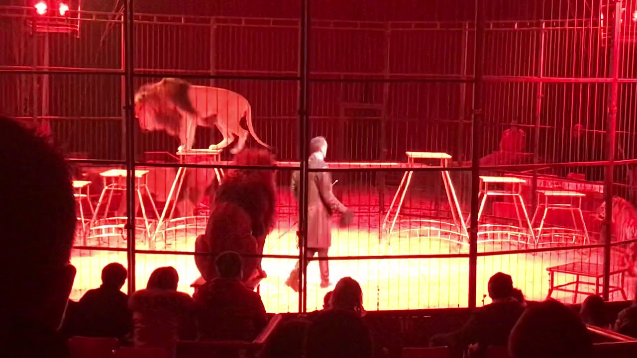 Circo Royal Grottaglie