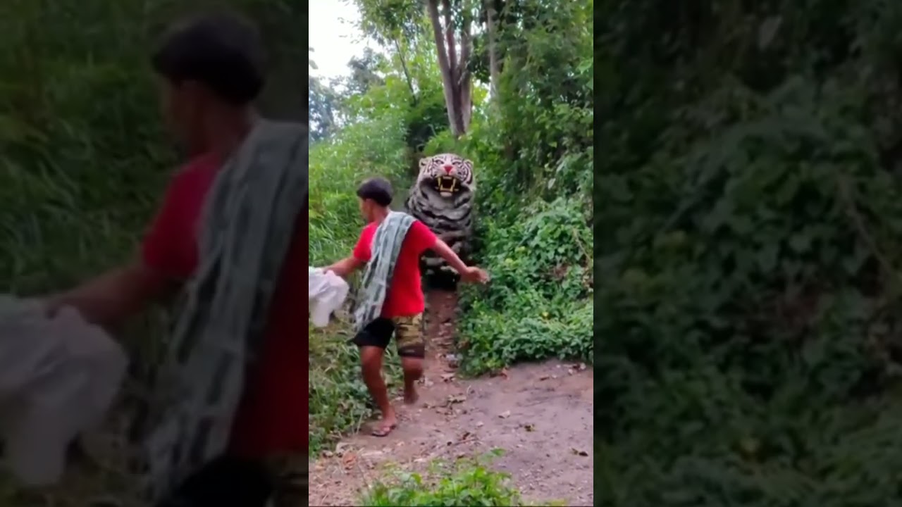can macanan singo Raung ngamuk ngejar orang sampai loncat kesungai