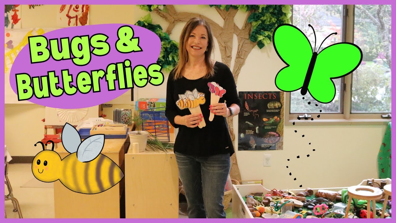 Preschool Bugs & Butterflies Theme