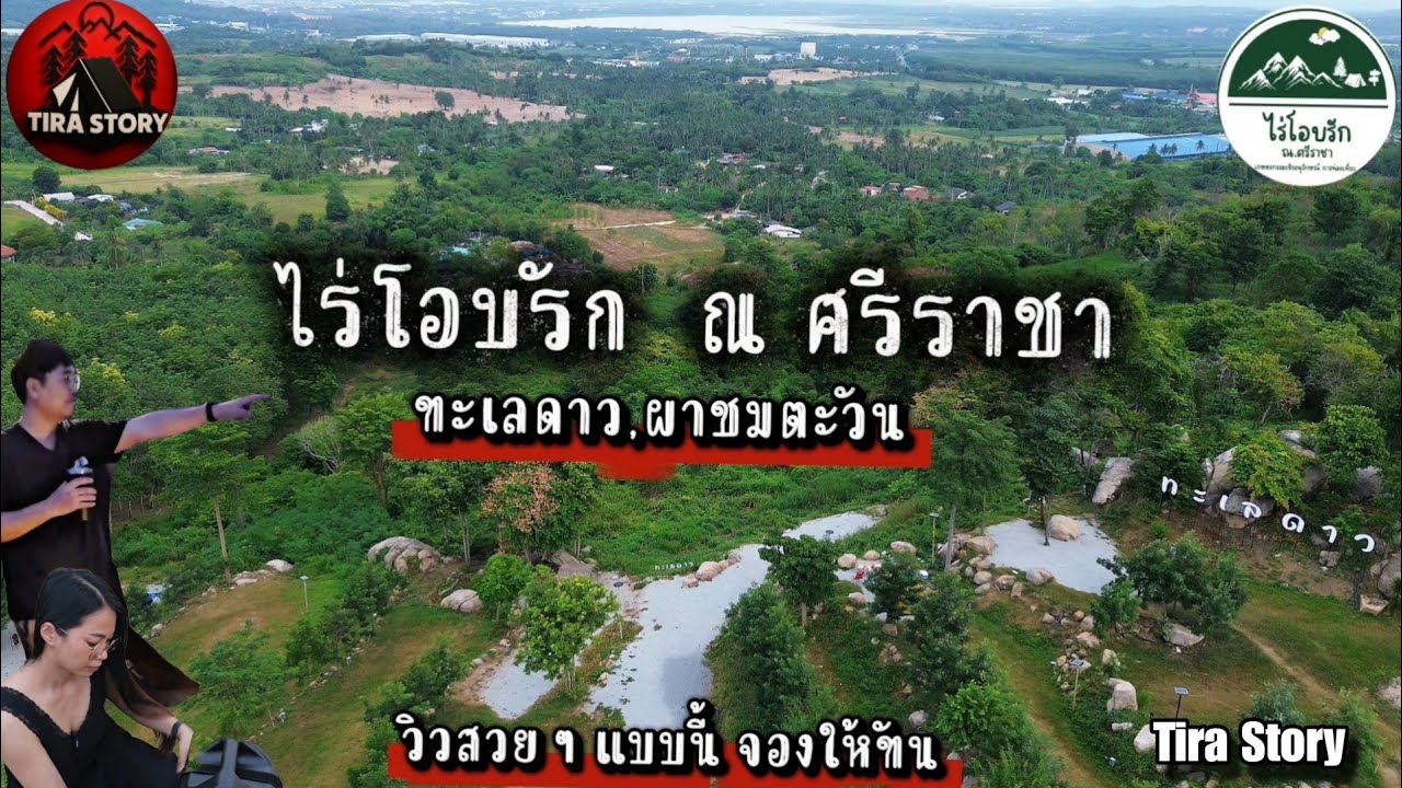 ไร่โอบรัก ณ ศรีราชา ชลบุรี (รีวิวลานสวยๆ ล่าสุด ก.ค68) ชมวิวทะเลดาว  จุดน่ากางเต็นท์ คาร์แคมป์ EP24