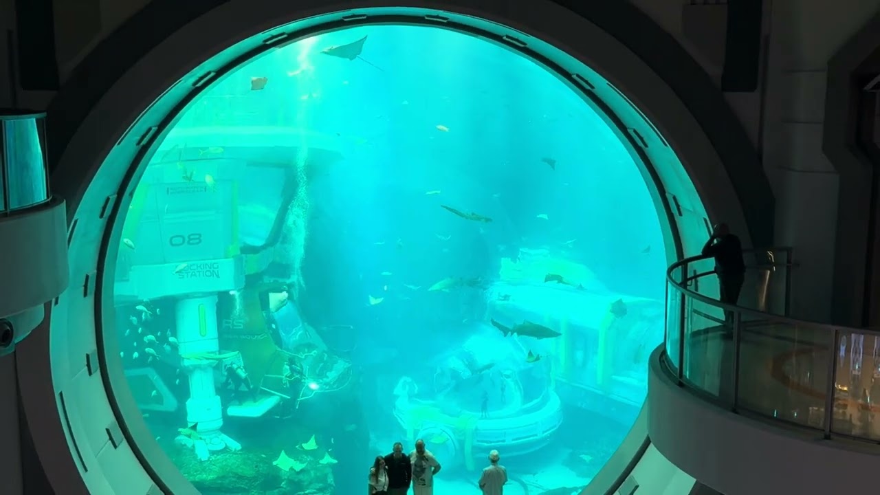 Abu Dhabi में समंदर देख लिया! 🌊 Endless Ocean SeaWorld Yas Island Indian Vlog #hindivlog #travel