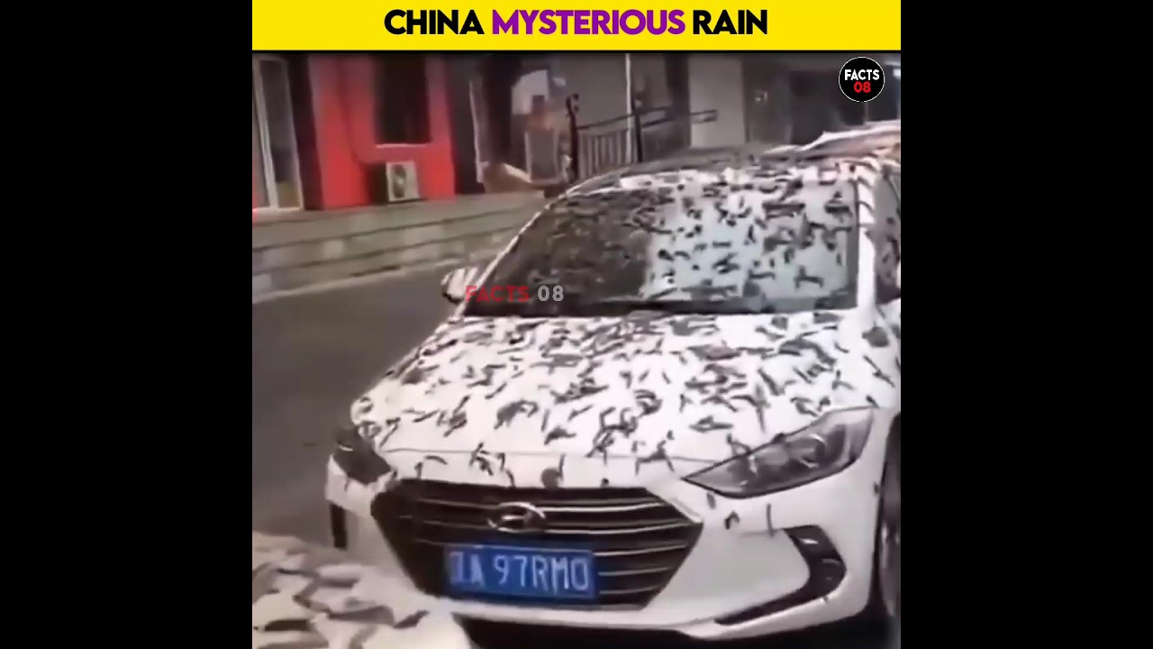 Worm Rain in China: The Bizarre Phenomenon That Intrigued the World #short #shorts