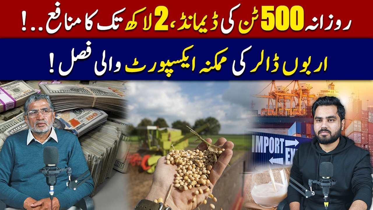 Soybean Farming in Pakistan | 2 Lac Profit Per Acre! | Billion Dollar Export Opportunity!