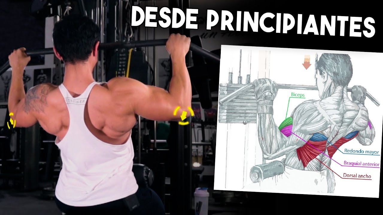 POLEA AL PECHO | El tutorial más completo desde CERO