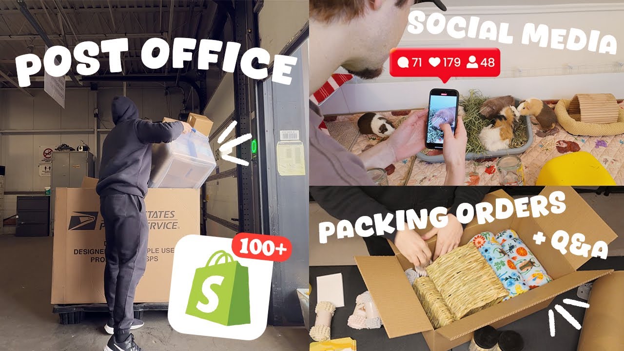 Behind the Scenes of The Pig Room | small pet shop