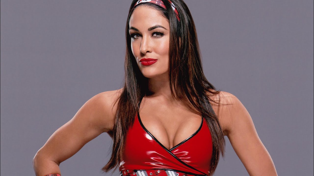 Lita V. Brie Bella - Divas Championship Match