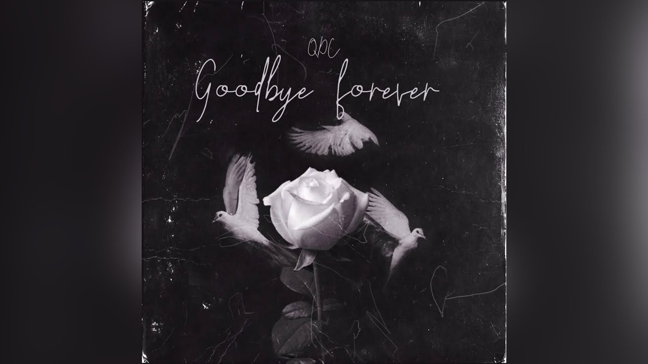 Qdc - Goodbye forever (Official Audio)