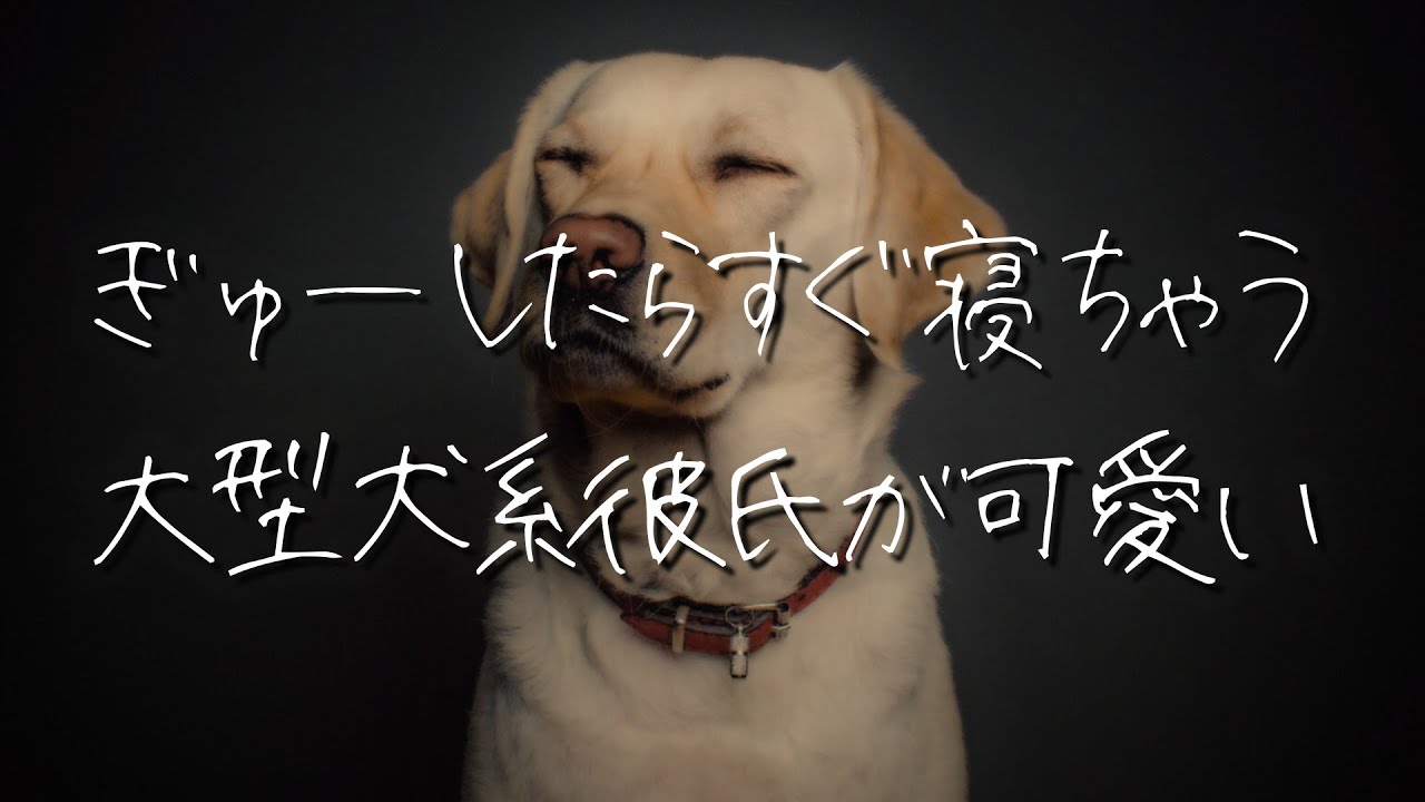 【女性向け】身体が大きいのに甘えるのが好きな年上犬系彼氏にぎゅーされて眠る夜【シチュエーションボイス/睡眠導入ロールプレイ】 #asmr
