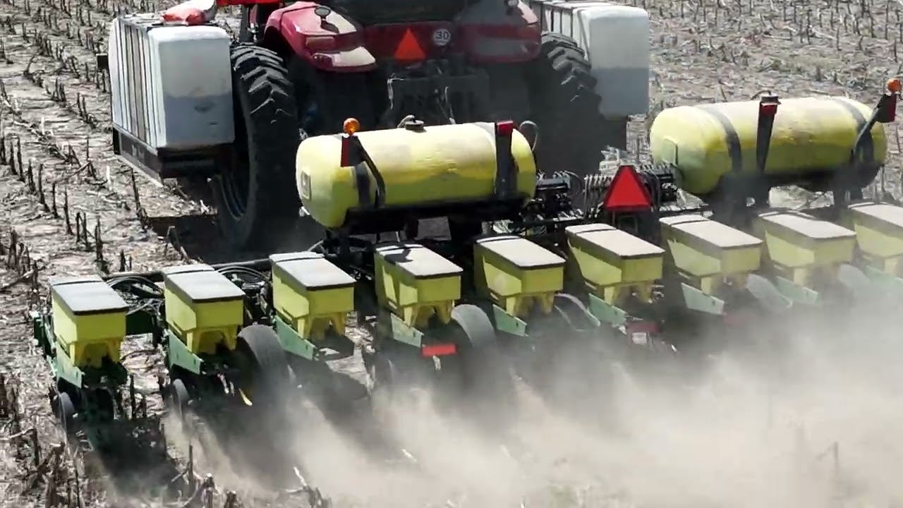 Sunflower Planting 2025