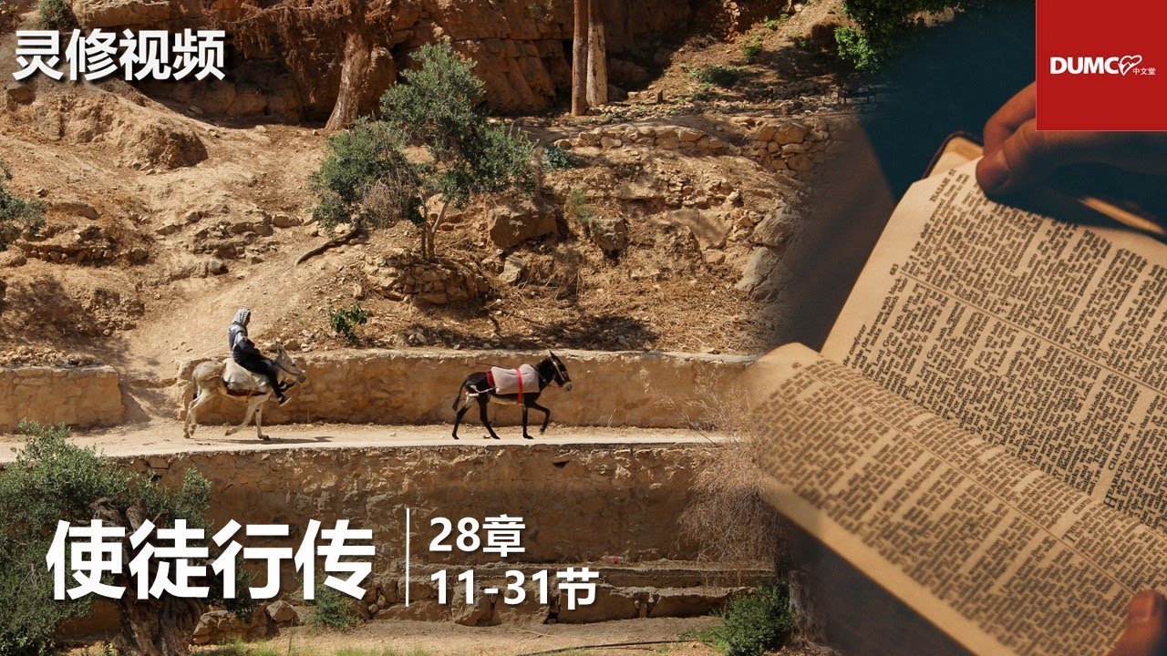 灵修视频：使徒行传 28：11-31【从罗马重新开航】
