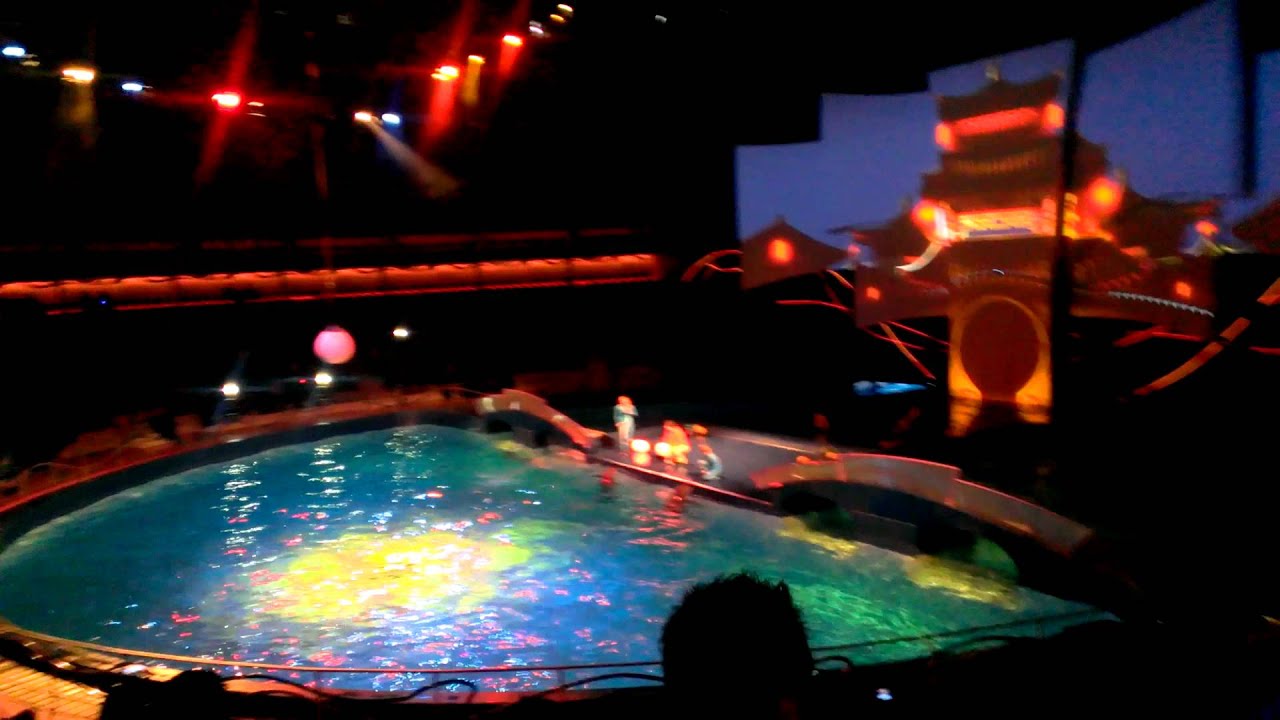 Dolfinarium - Aquabella 2013