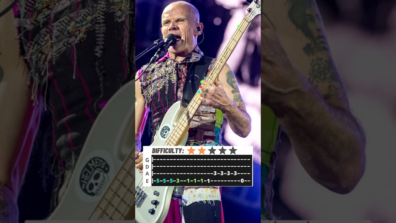 Red Hot Chili Peppers - Otherside // Bass tutorial (Riff)