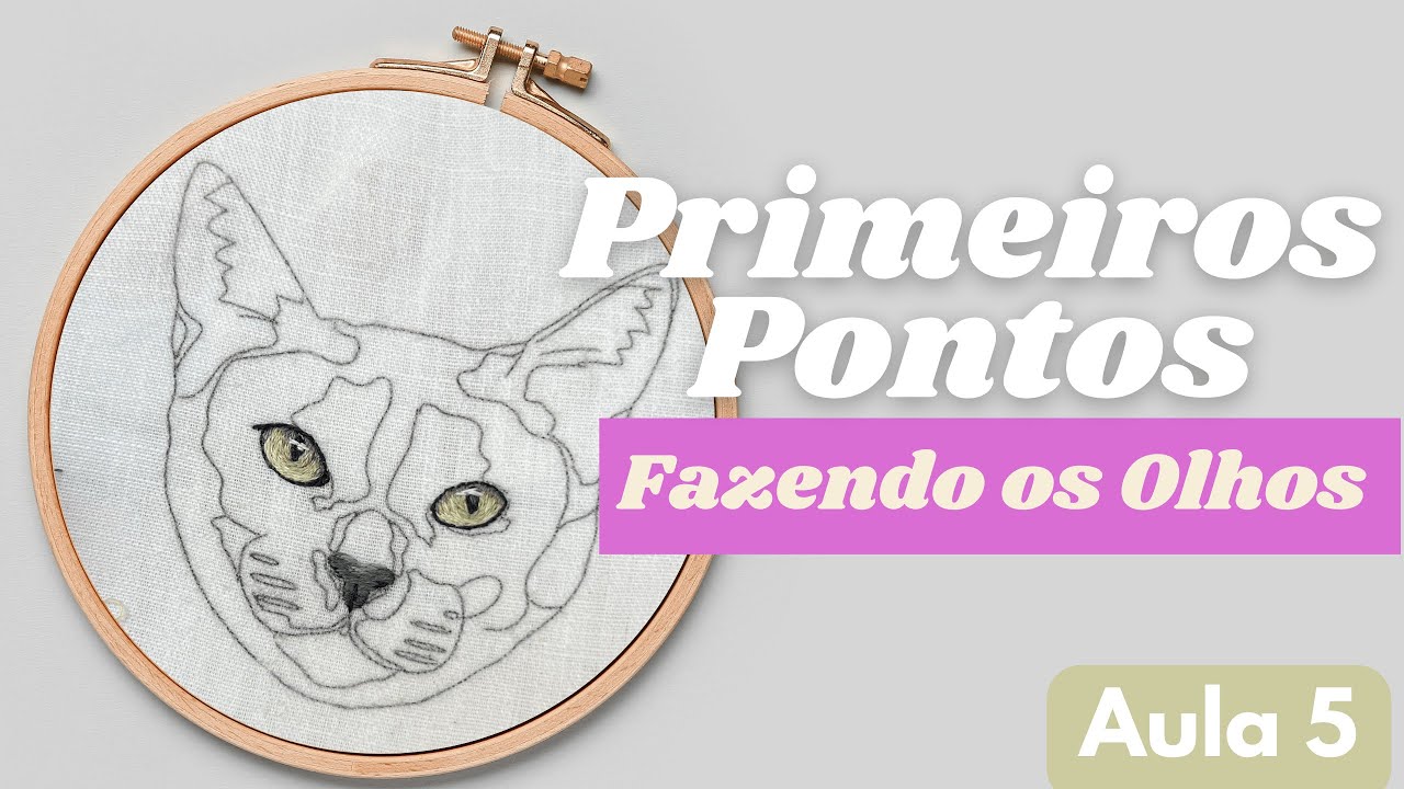 Comece a bordar o Gatinho - Fazendo os Olhos