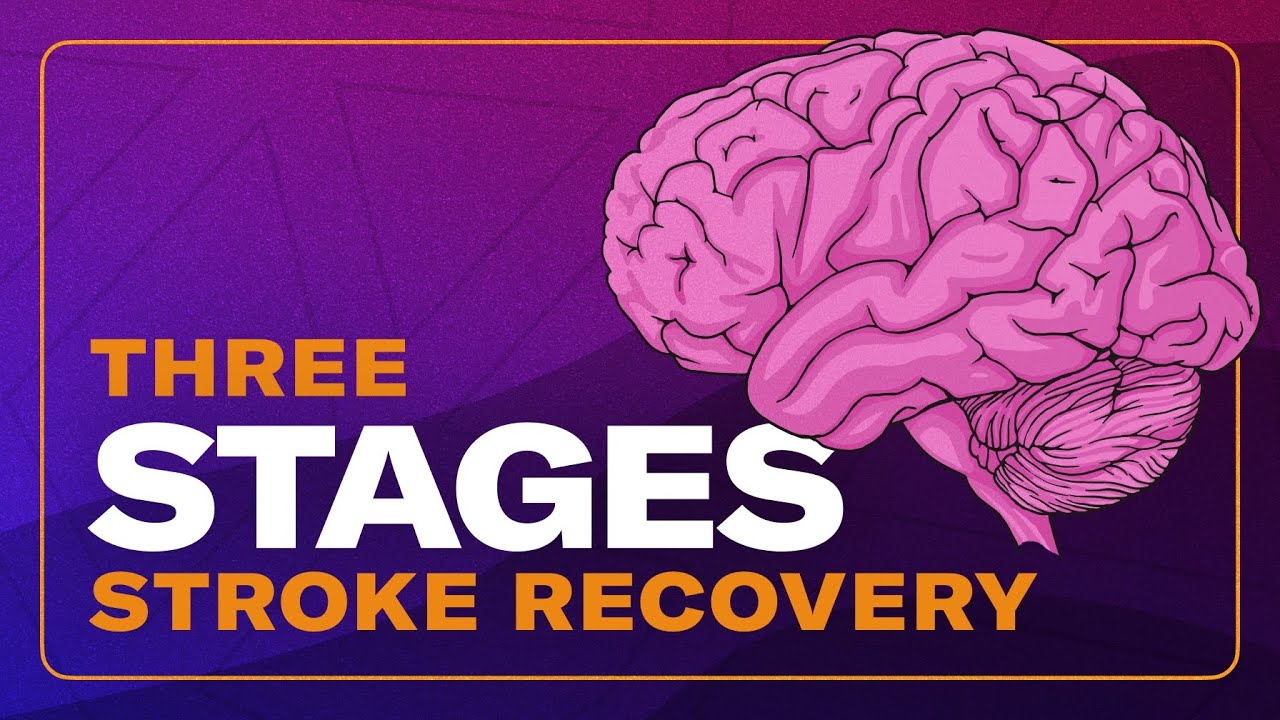 The 3 Stages of Stroke Recovery & What You Should Be Doing In Each – OT Explains