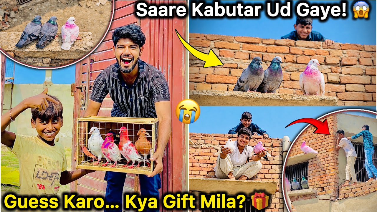 Plot Par Mila Surprise! 😲 || “Kabutar Bhag Gaye! 😭 Big Loss”