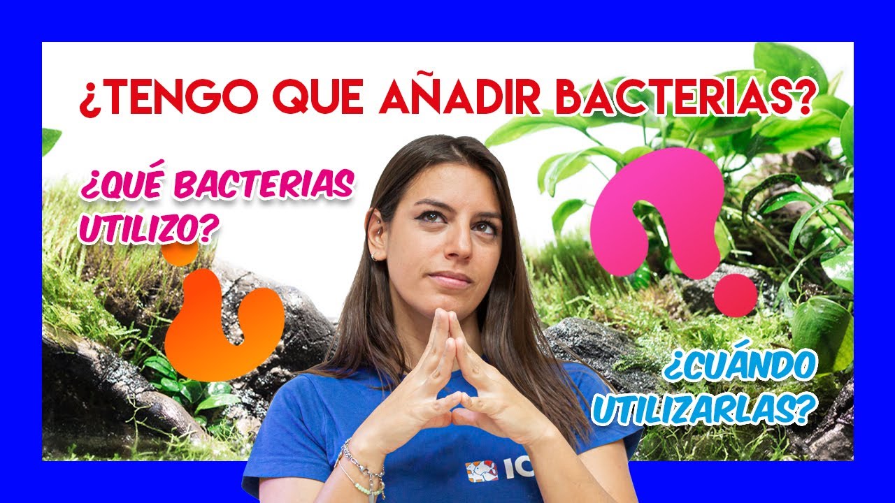 BACTERIAS PARA EL ACUARIO 🦠🐟 ¿Son necesarias? ¿Cuándo las debemos echar?
