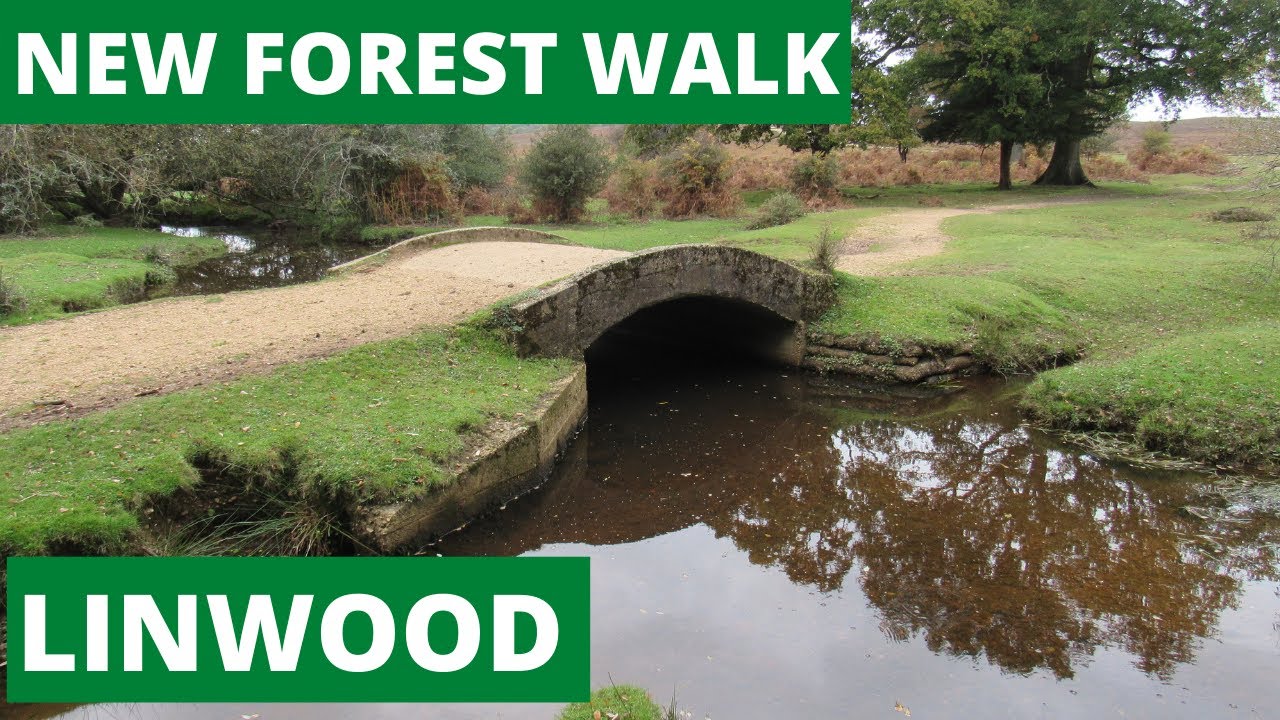 NEW FOREST WALK at LINWOOD (NEW FOREST NATIONAL PARK)