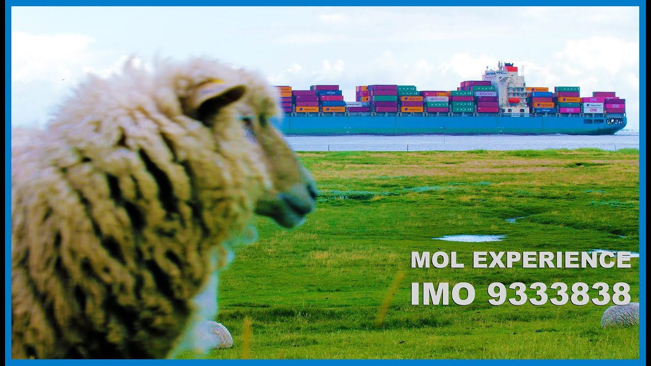 MOL EXPERIENCE - IMO 9333838 - Cuxhaven Ship Spotting