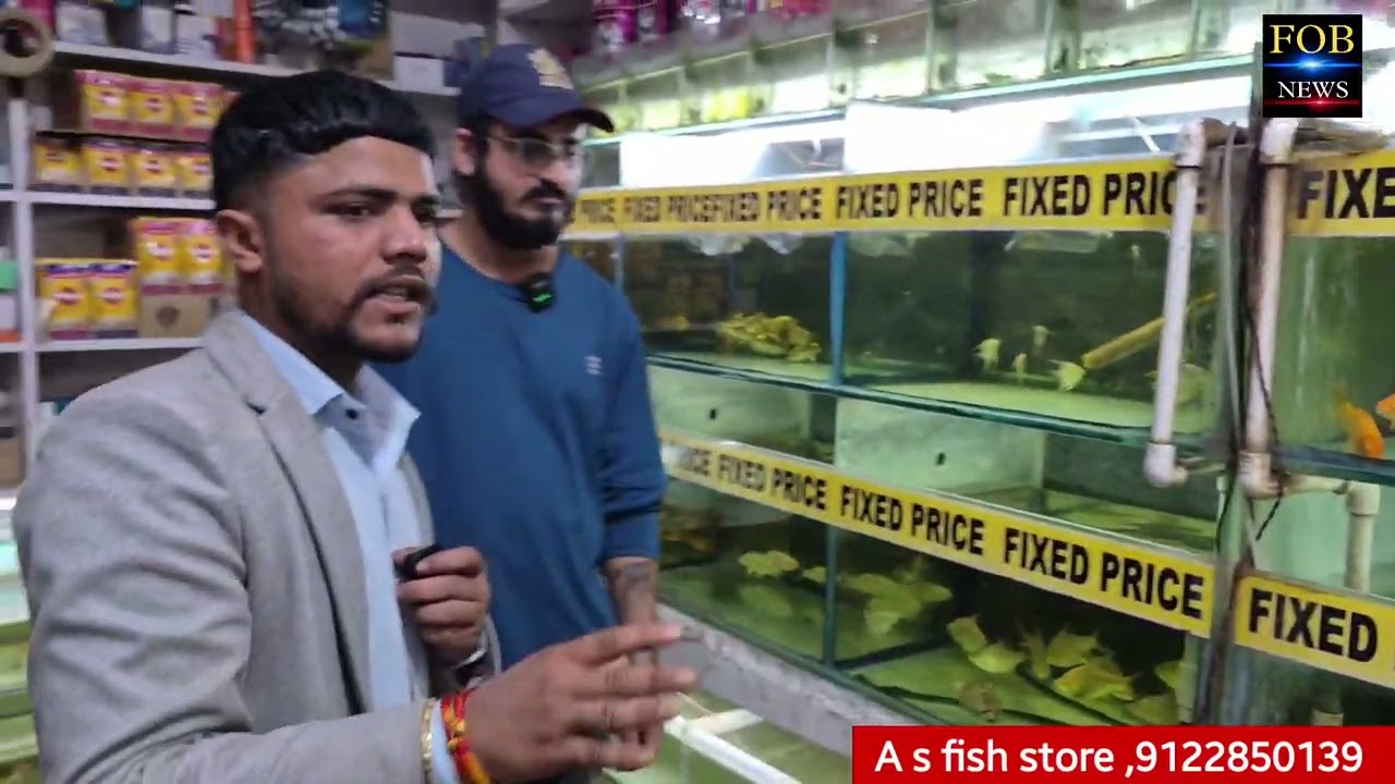 Bihar ka number 1 aquarium fish shop #asfishstore @asfishstore 