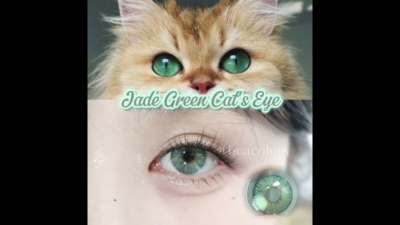 [BEACOLORS] #cateye  lenses in mesmerizing jade green! 🐾💚#catlover  #contactlenses   #cat  #fyp