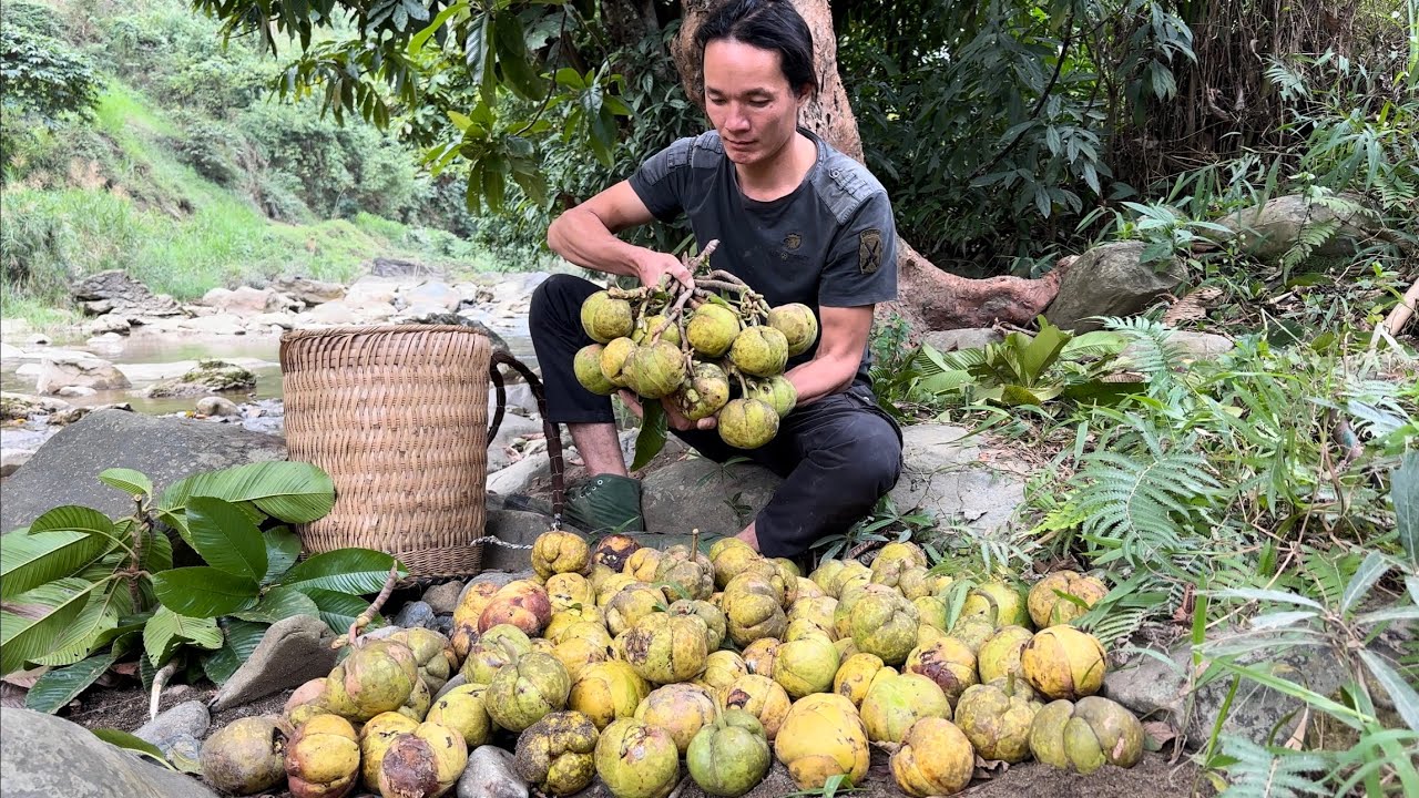 Harvest piglets, chicks, fruits Goes to market sell -  Vàng Hoa