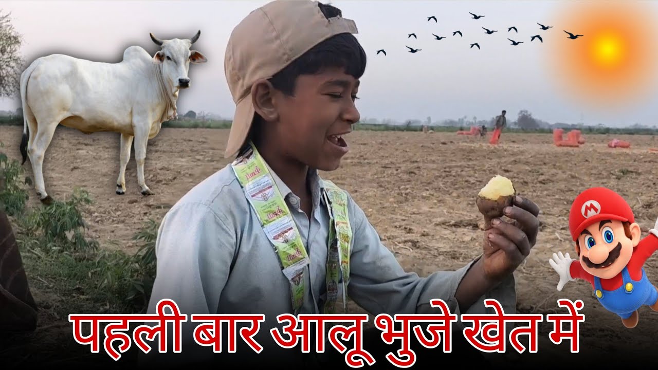 पहली बार खेतों में आलू भुजे 😳 रात हो गई 😱 #souravjoshivlogs #vlog #video 