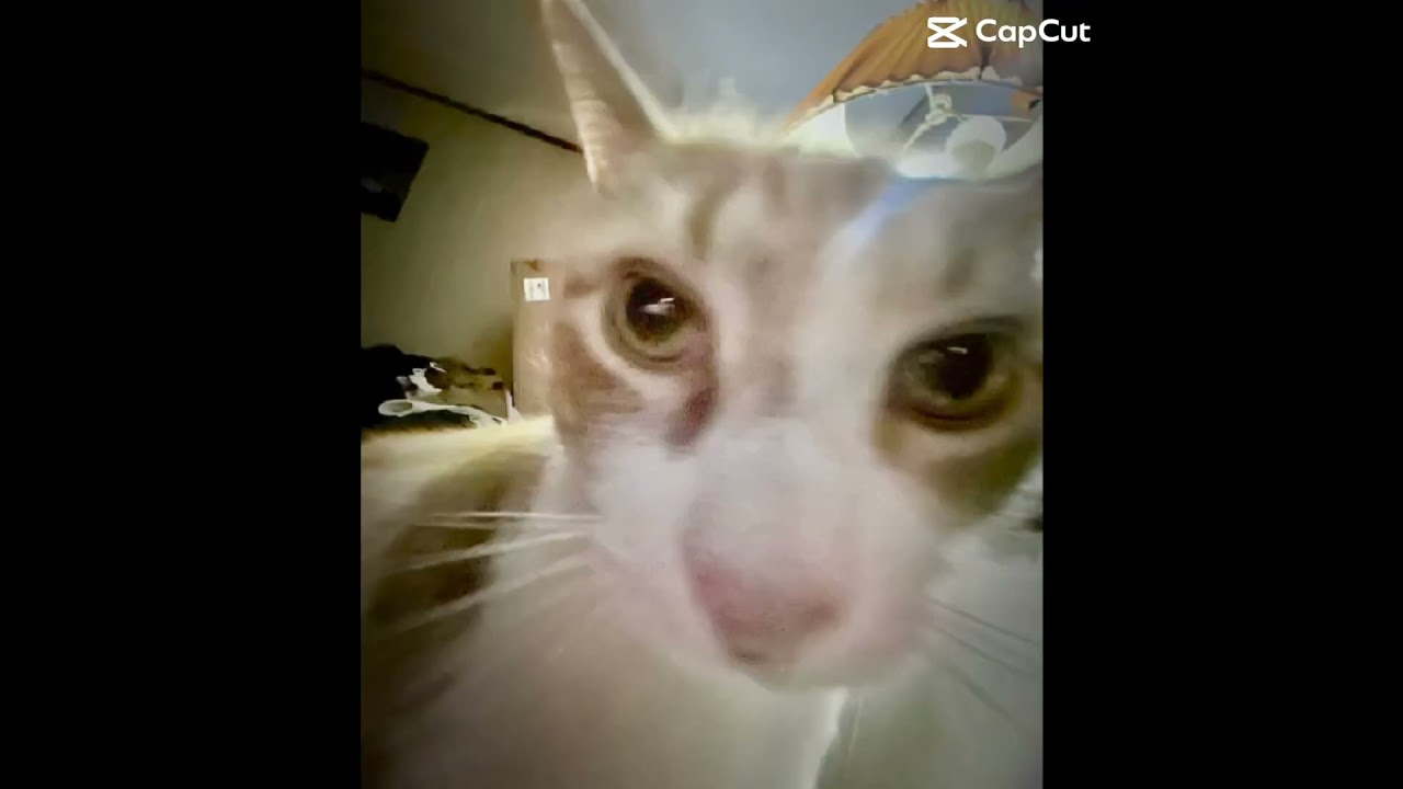 RAISE YOUR YAYAYAAAAA #justiceforkiki