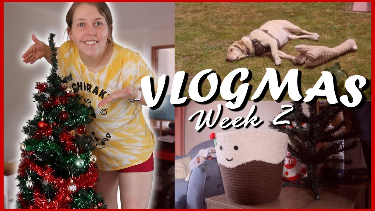 Забронируйте перевозку и поездку в Сидней ✈️ | ВЛОГМ #2