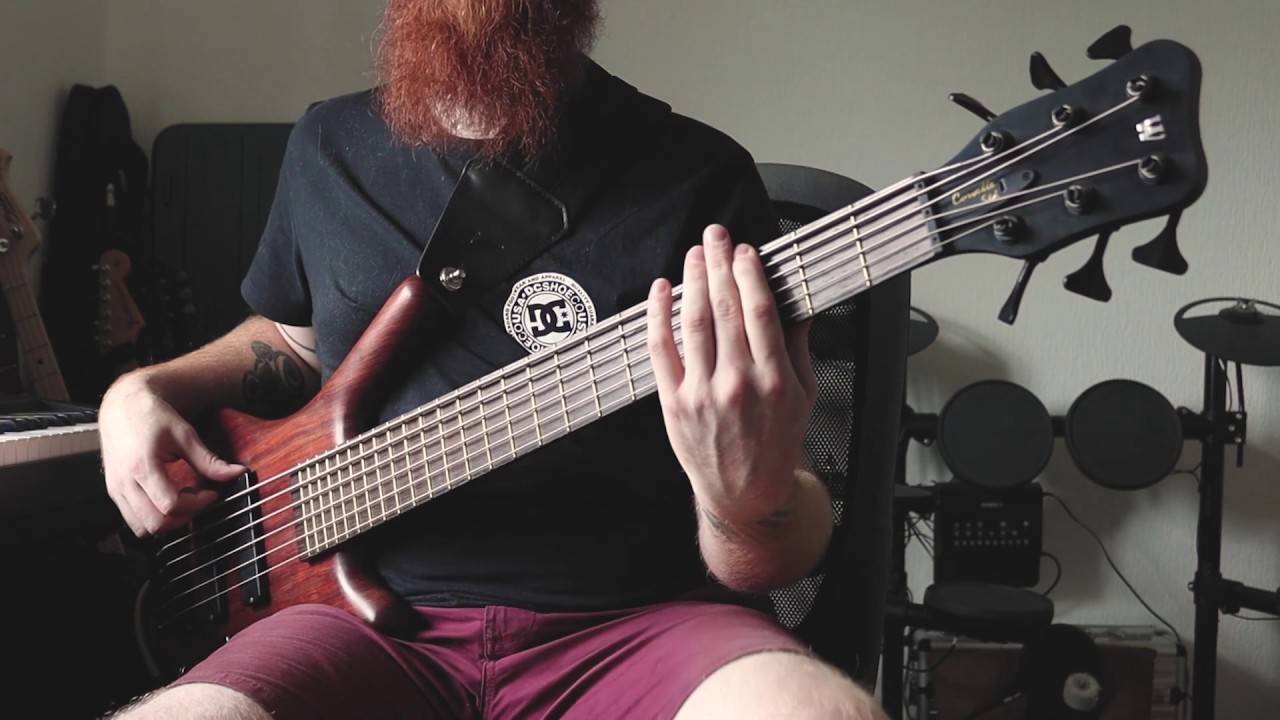Karnivool - All I Know (Bass Cover)