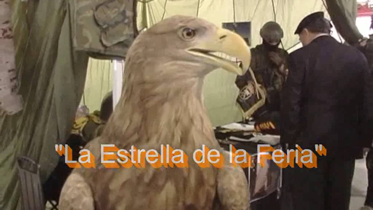 MILITARIA 23 Y 24 DE ABRIL 2016