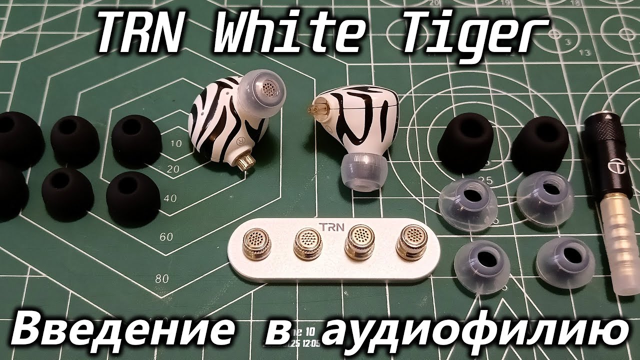 Внутриканальные наушники TRN White Tiger за $48 против KZ DQS за $12