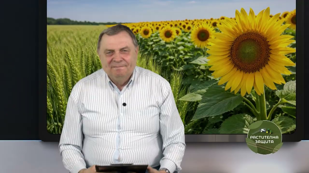 Растителна защита: Болести, плевели и нови молекули: как се променя растителната защита