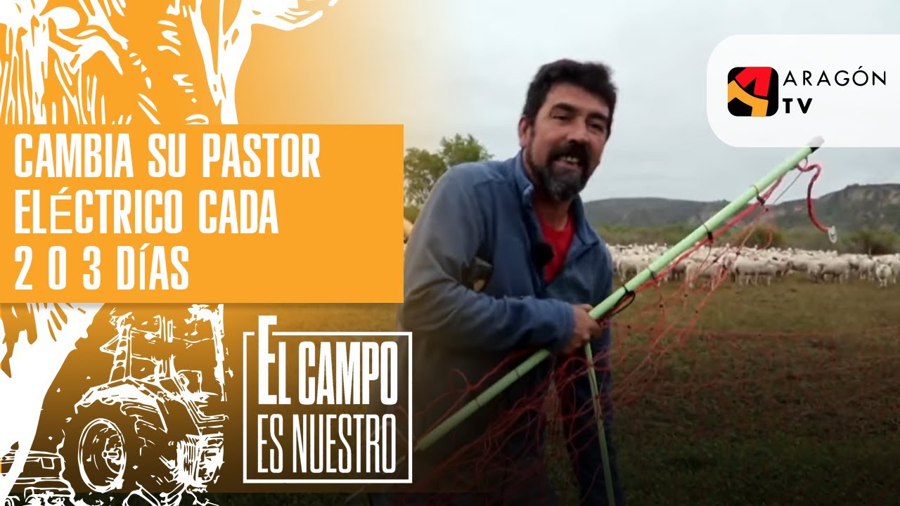 Cambia su pastor eléctrico cada 2 o 3 días