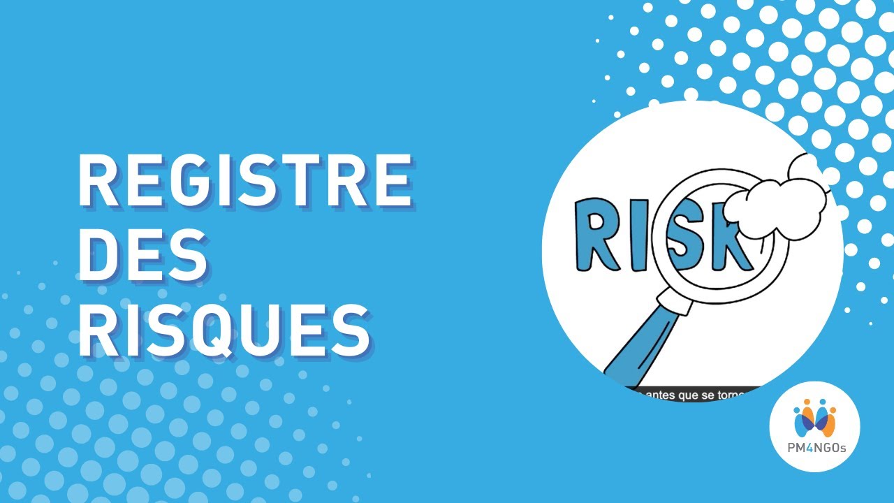 Registre des risques: Project DPro (PMD Pro)