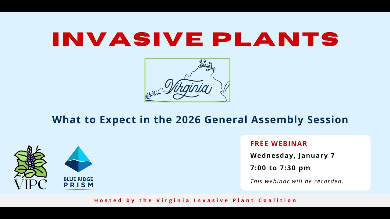 Invasive Plants: What to Expect in the 2026 General Assembly Session