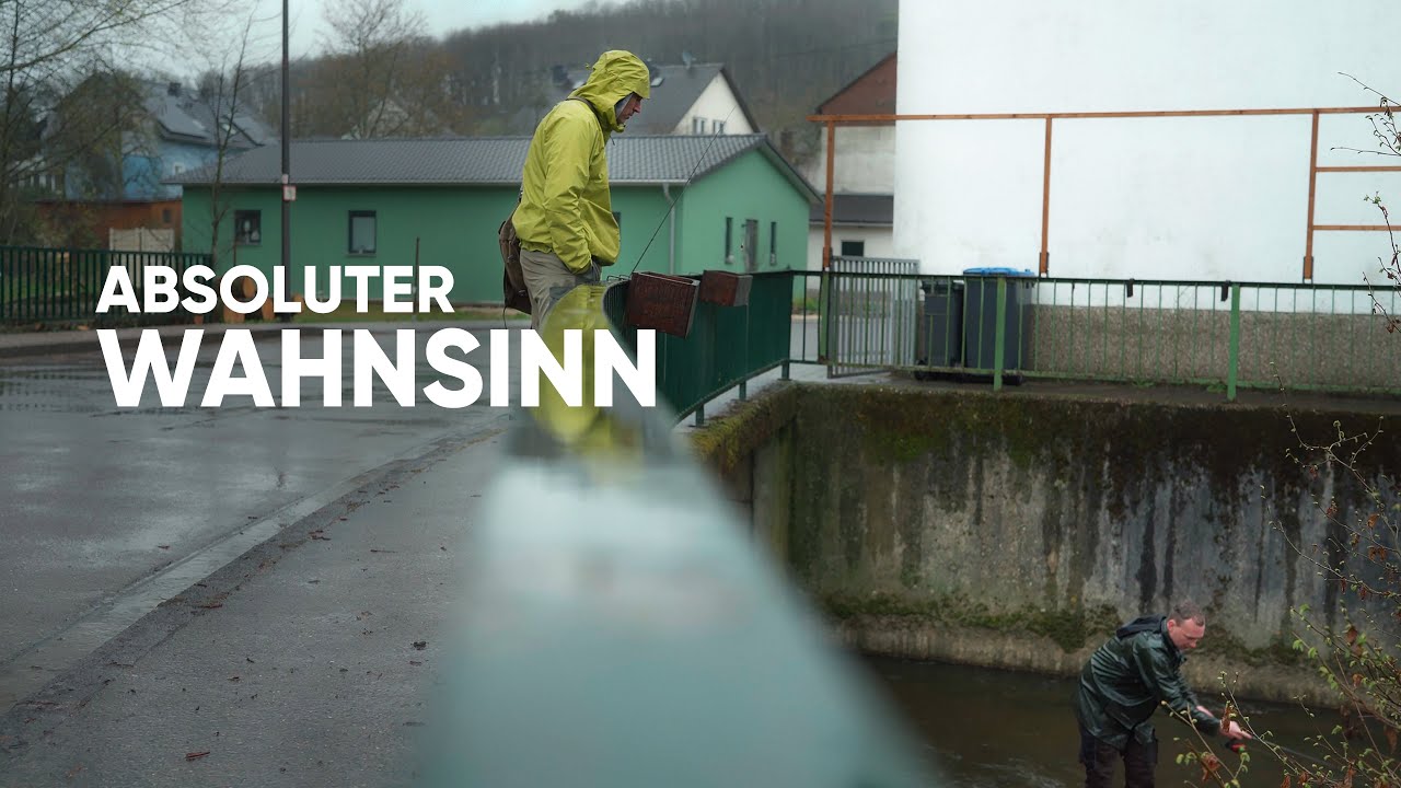 WIR können es kaum GLAUBEN! Diese FORELLE ist RIESIG! #catchandcook