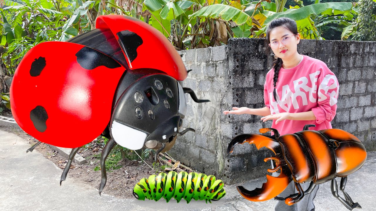 Changcady bắt s&acirc;u ở vườn rau v&agrave; bọ c&aacute;nh cam, bọ c&aacute;nh cứng biết đi - Part 337