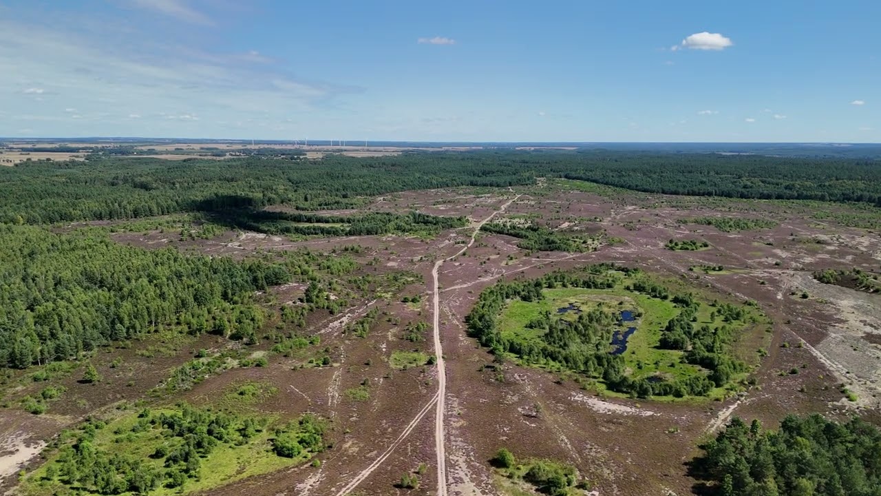 Wrzosowiska w Okonku - cinematic drone video