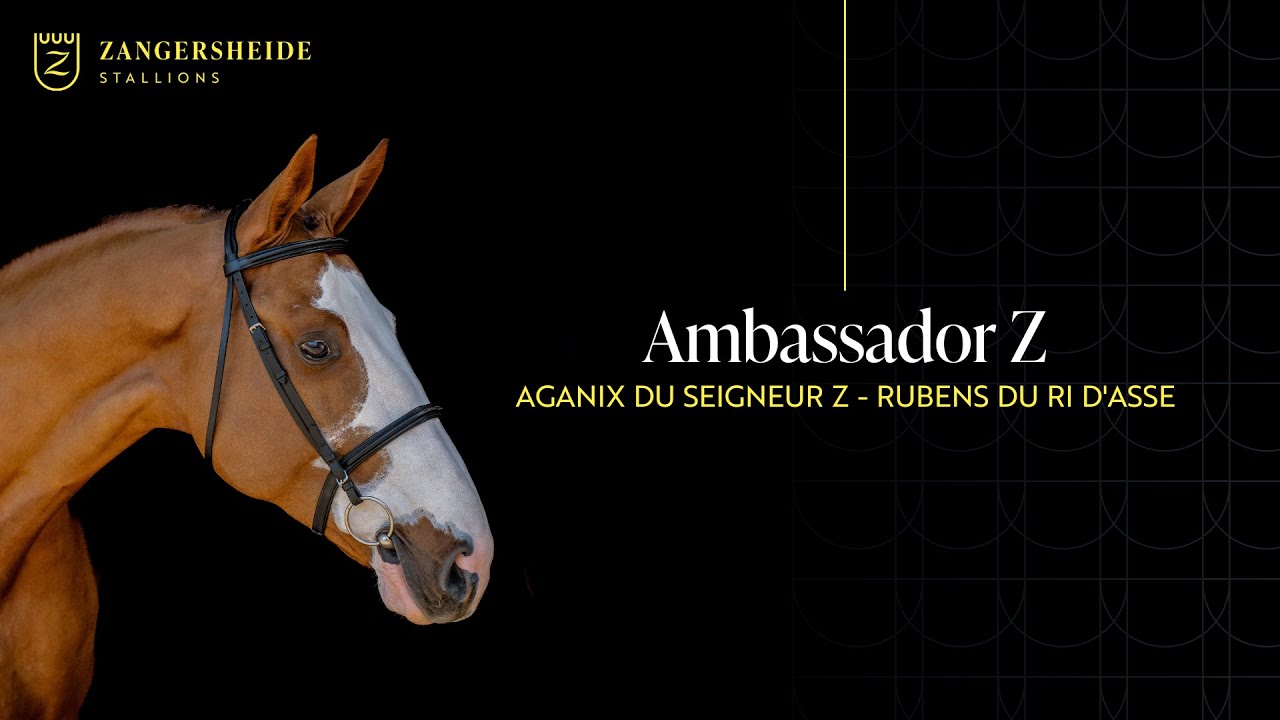 Ambassador Z - Stallion Presentation 2025 ENG