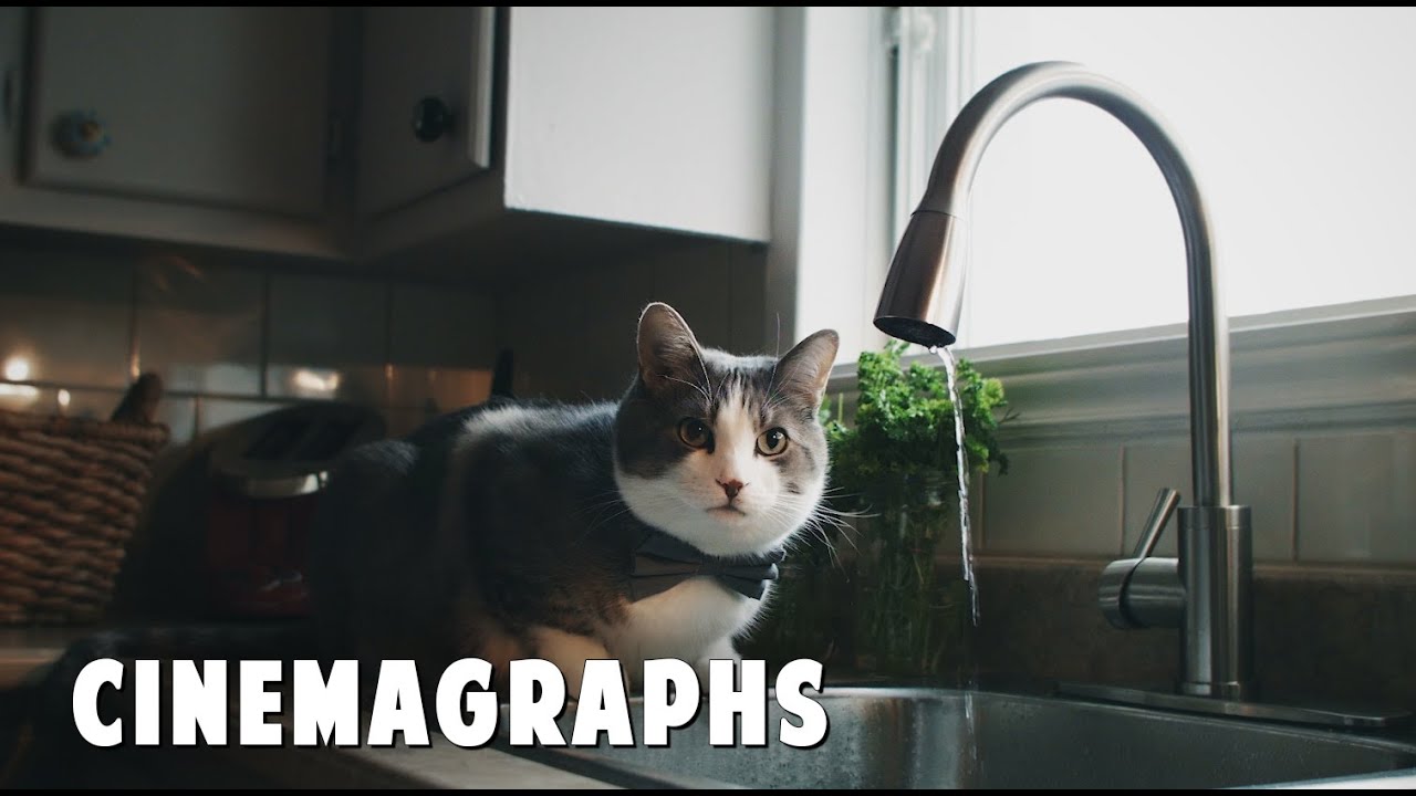 Cinemagraph and Plotagraph Videos, Animated Moving Photos