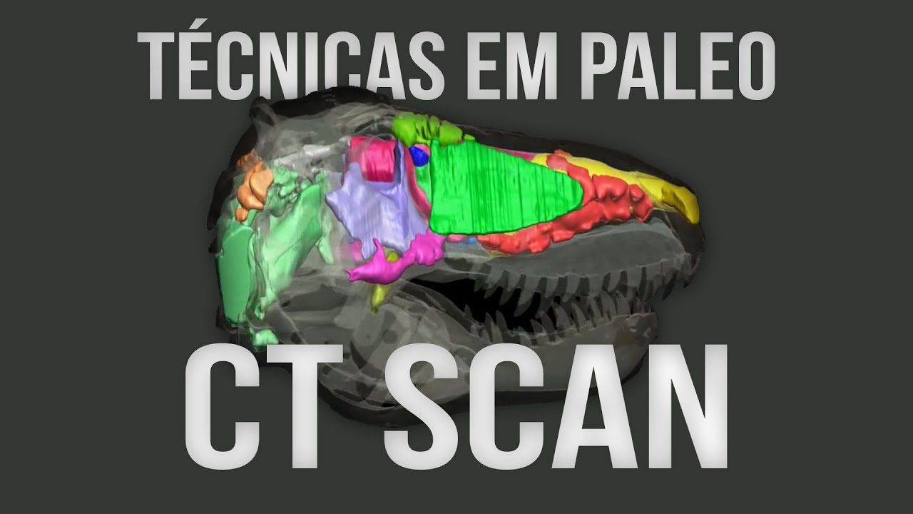 Técnicas em Paleontologia: CT Scan