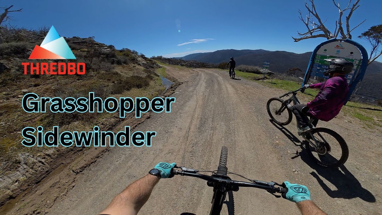 Thredbo MTB Park | Grasshopper & Sidewinder |