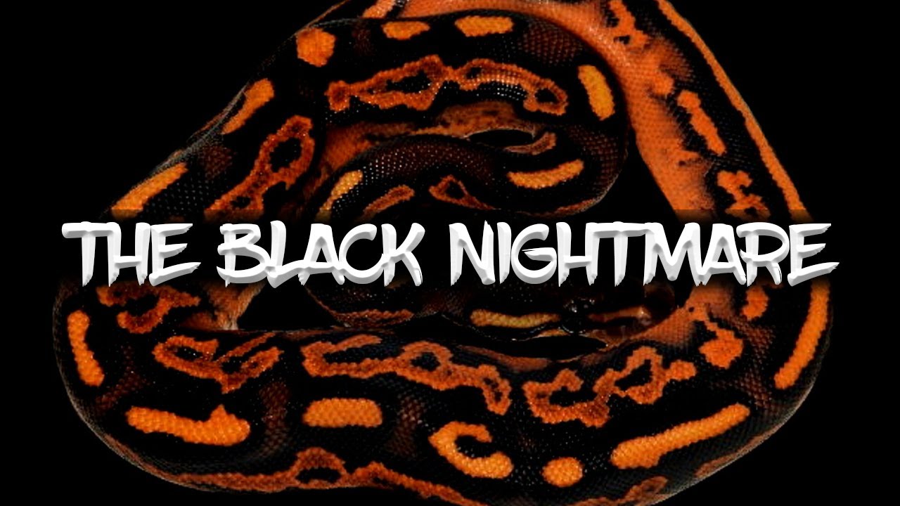 The Potential of the 'Black Nightmare'