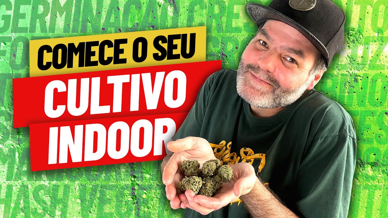Cultivo Indoor de Maconha - O que voc&ecirc; precisa para plantar em casa